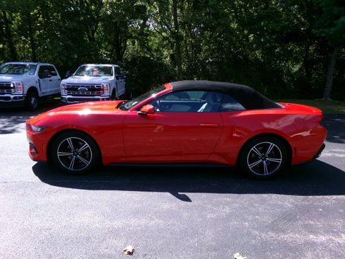 Used 2024 Ford Mustang Premium RWD image 7