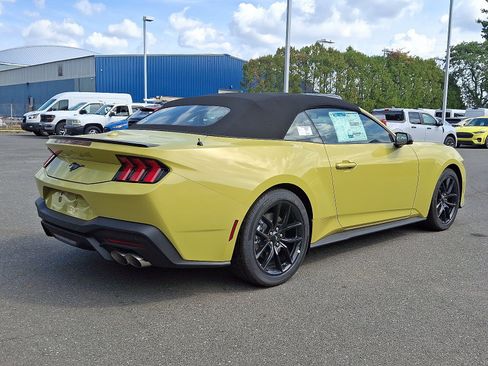 New 2025 Ford Mustang Premium w/ Mustang Nite Pony Package RWD image 7