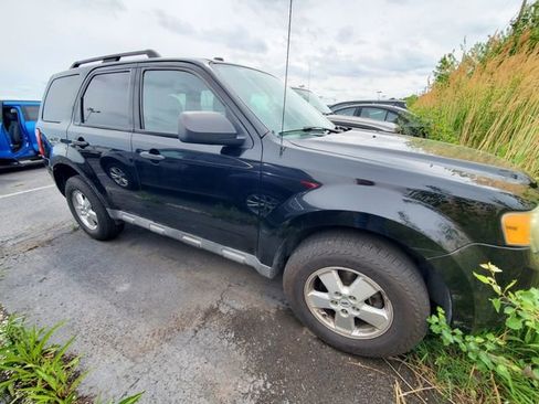 Used 2010 Ford Escape XLT FWD image 1