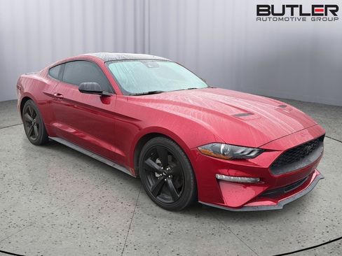 Used 2022 Ford Mustang Coupe w/ Equipment Group 101A RWD image 5