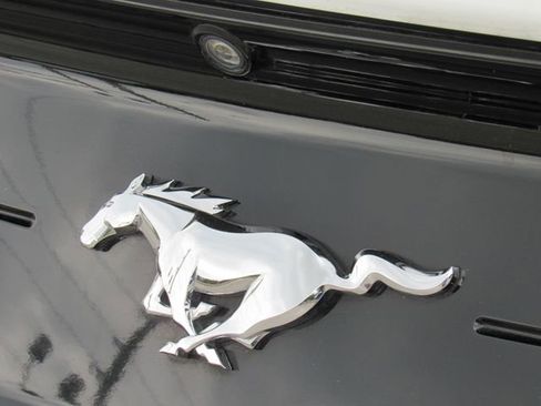 Used 2021 Ford Mustang Premium w/ Equipment Group 201A RWD image 12