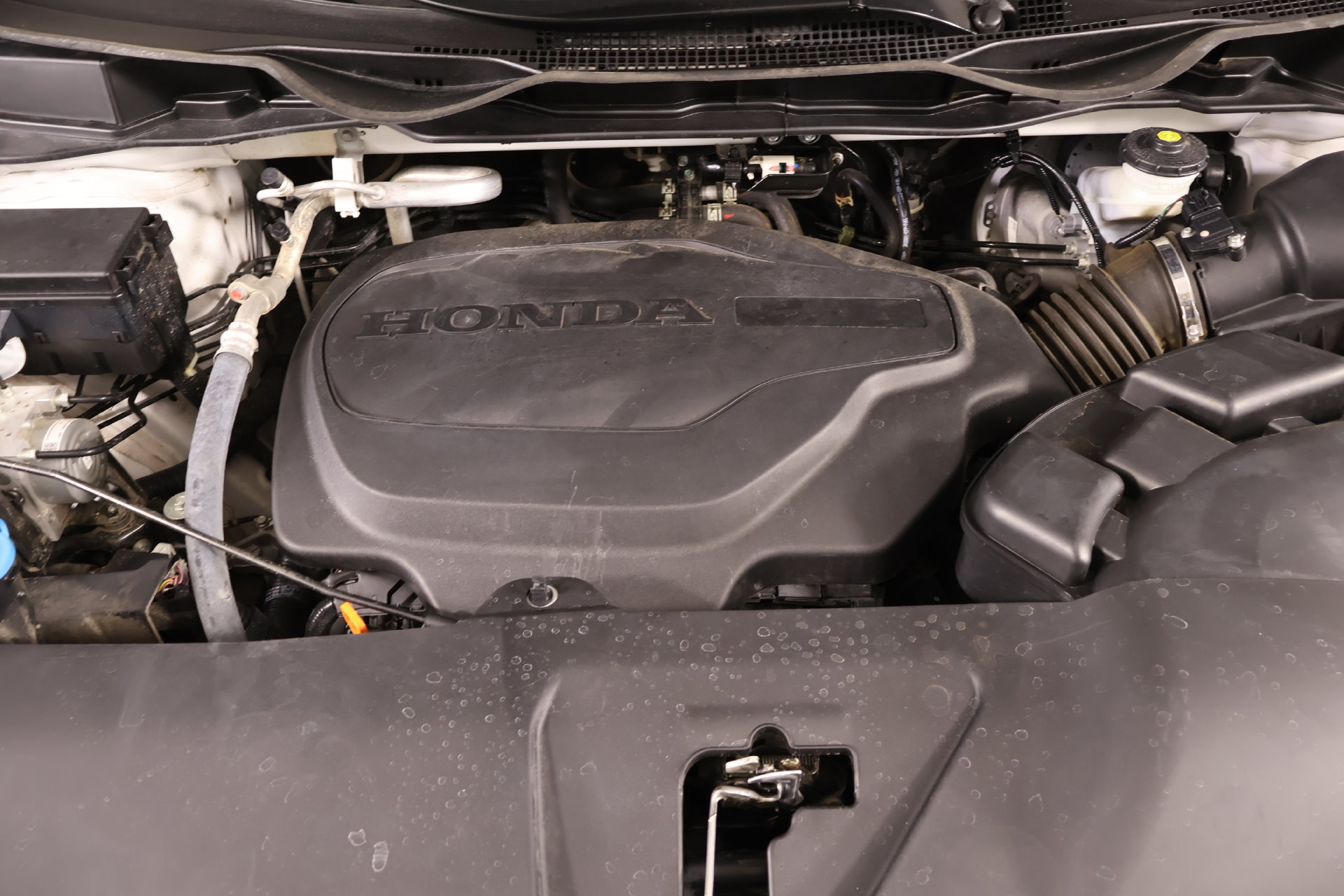 Used 2024 Honda Odyssey Sport image 19