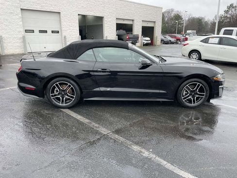 Used 2019 Ford Mustang Premium image 10