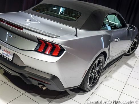 Used 2025 Ford Mustang Premium RWD image 8