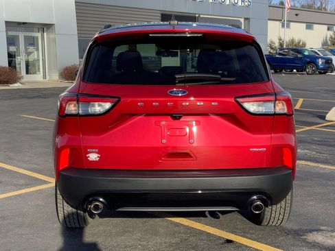 Used 2022 Ford Escape SE w/ SE Sport Appearance Package image 5