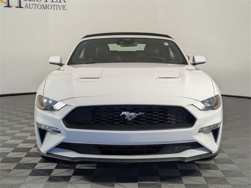 Used 2023 Ford Mustang Premium image 3