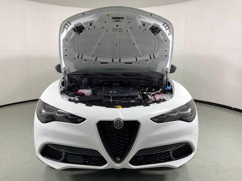 New 2025 Alfa Romeo Stelvio Sprint w/ Convenience Package AWD/4WD image 6