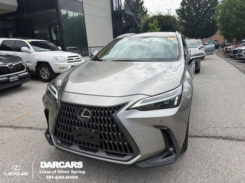 Used 2025 Lexus NX 350 AWD w/ Cold Area Package image 1