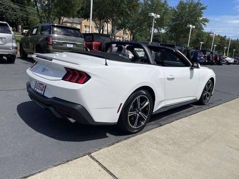 Used 2025 Ford Mustang Premium RWD image 6