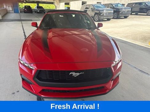 Used 2024 Ford Mustang Premium w/ Wheel & Stripe Package RWD image 16