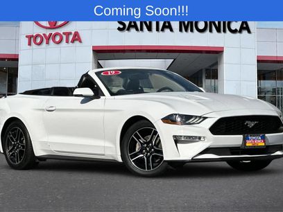 Used 2019 Ford Mustang Premium