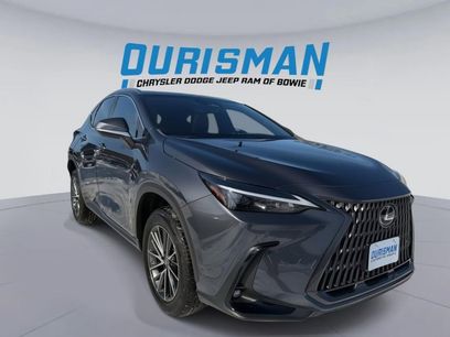 Used 2024 Lexus NX 350h AWD