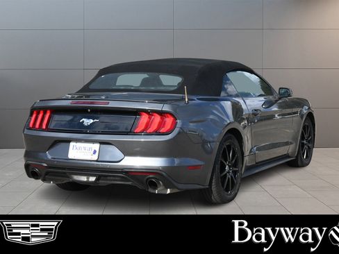 Used 2019 Ford Mustang Premium image 5