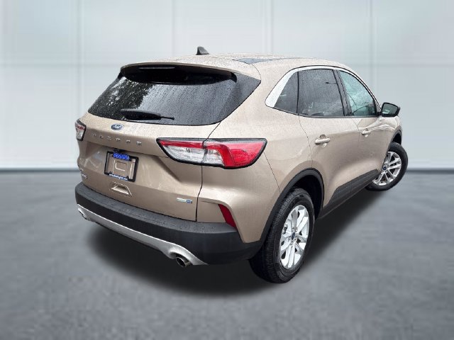 Used 2020 Ford Escape SE AWD/4WD image 4
