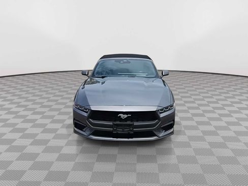 Used 2024 Ford Mustang Premium RWD image 3