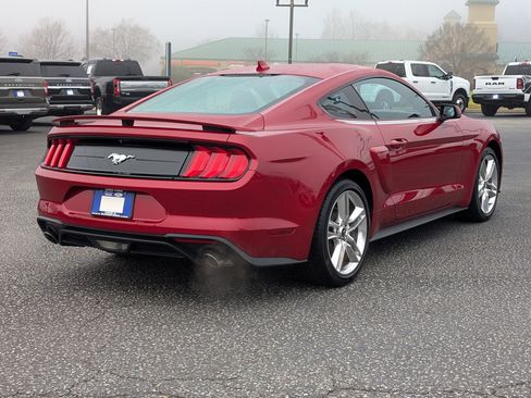 Certified 2023 Ford Mustang Premium w/ Equipment Group 201A image 9