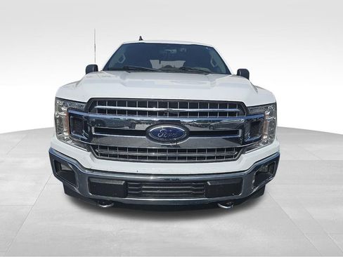 Used 2019 Ford F150 XLT w/ Equipment Group 302A Luxury AWD/4WD image 3