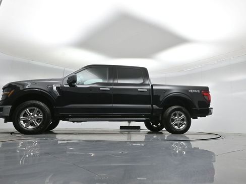 Certified 2025 Ford F150 XLT w/ Equipment Group 301A Standard image 8