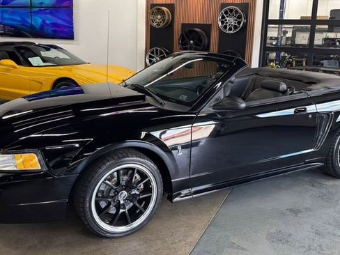 Used 1999 Ford Mustang Cobra RWD image 1