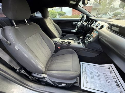 Used 2019 Ford Mustang GT w/ Equipment Group 301A image 18