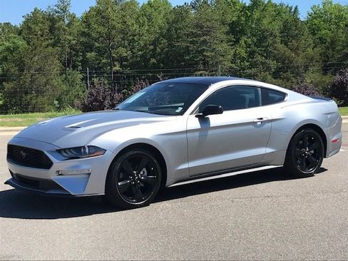 Used 2023 Ford Mustang Coupe w/ Equipment Group 101A RWD image 1