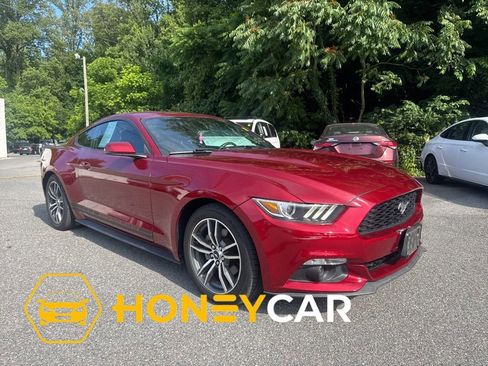 Used 2015 Ford Mustang Premium w/ Equipment Group 201A RWD image 1
