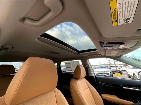 New 2026 Kia Seltos EX w/ EX Sunroof Package image 18