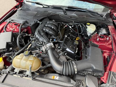 Used 2017 Ford Mustang Coupe RWD image 20
