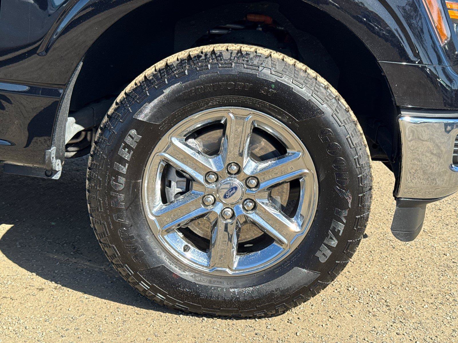 Used 2025 Ford F150 XLT w/ Equipment Group 301A Standard AWD/4WD image 6