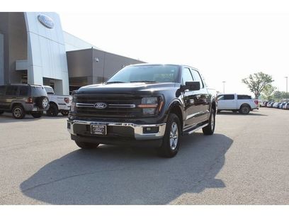 Used 2025 Ford F150 XLT w/ Equipment Group 301A Standard