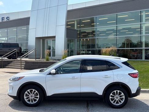 Used 2021 Ford Escape SE AWD/4WD image 3