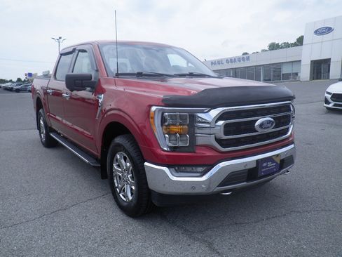 Certified 2021 Ford F150 XLT w/ Equipment Group 302A High AWD/4WD image 1