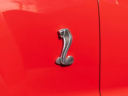 Used 2008 Ford Mustang Shelby GT500 RWD image 15