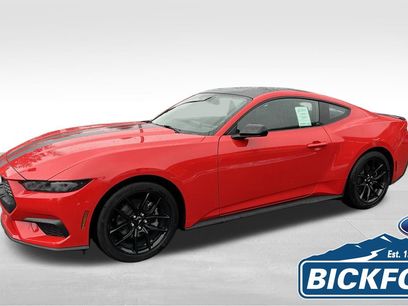 New 2026 Ford Mustang Coupe w/ Mustang Nite Pony Package