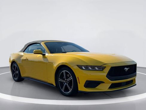 Used 2024 Ford Mustang Premium RWD image 5