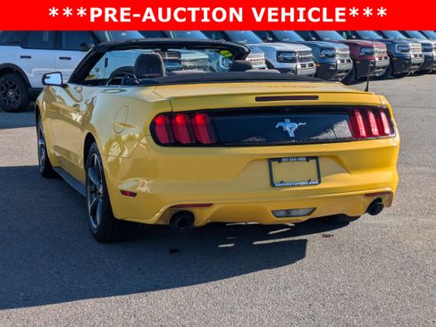 Used 2015 Ford Mustang Convertible w/ Equipment Group 051A image 6