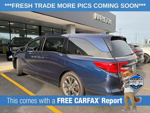 Used 2022 Honda Odyssey Elite image 5