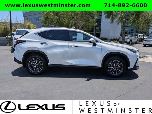 Used 2025 Lexus NX 350h AWD w/ Premium Package image 4