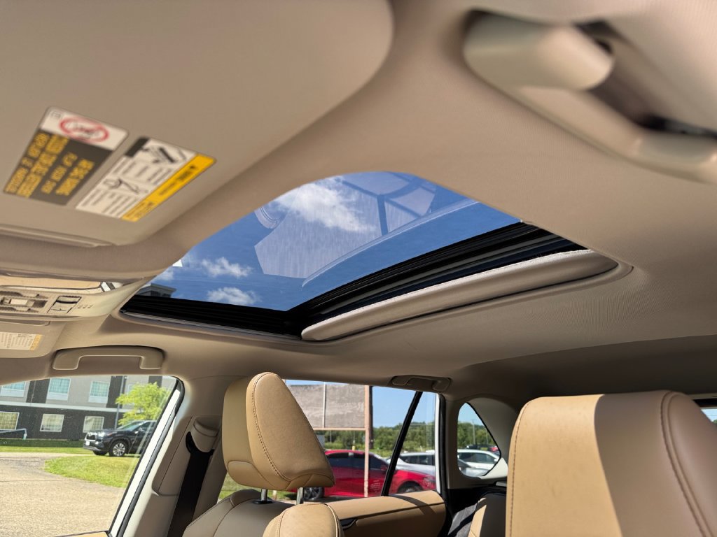 Certified 2019 Toyota RAV4 XLE Premium FWD image 31