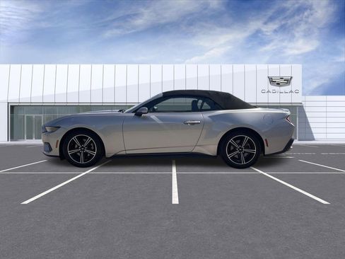 Used 2025 Ford Mustang Premium RWD image 5