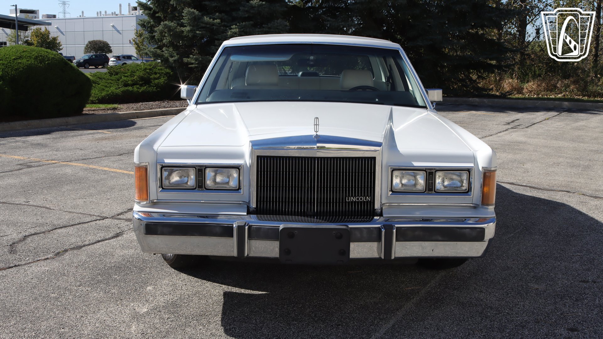 Used 1989 Lincoln Town Car Signature RWD image 6