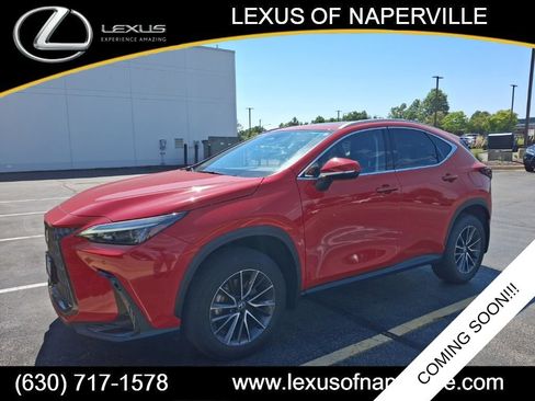 Used 2024 Lexus NX 350 AWD image 1