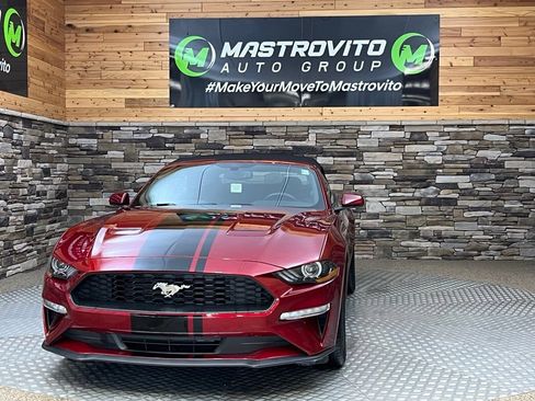 Used 2019 Ford Mustang Convertible w/ Equipment Group 101A RWD image 6