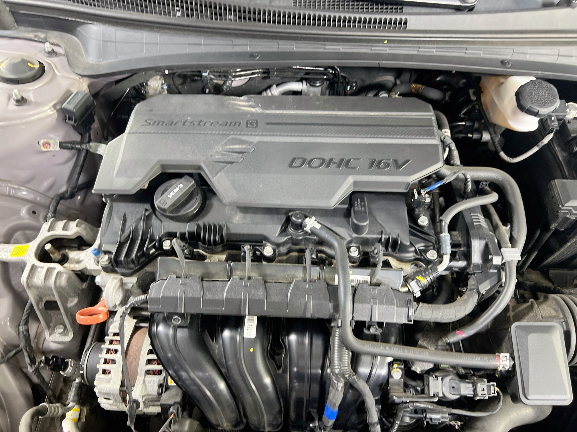 Used 2023 Hyundai Elantra SEL w/ Convenience Package FWD image 28