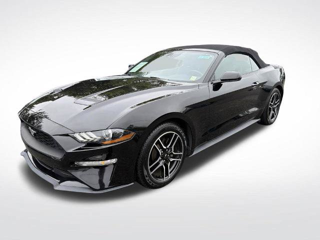 Certified 2023 Ford Mustang Premium RWD image 2