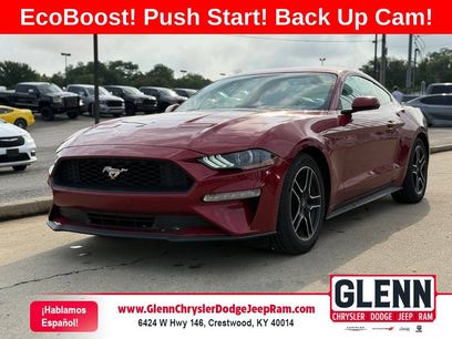 Used 2019 Ford Mustang Coupe w/ Equipment Group 101A