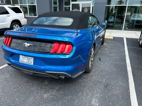 Used 2019 Ford Mustang Premium w/ Equipment Group 201A RWD image 7