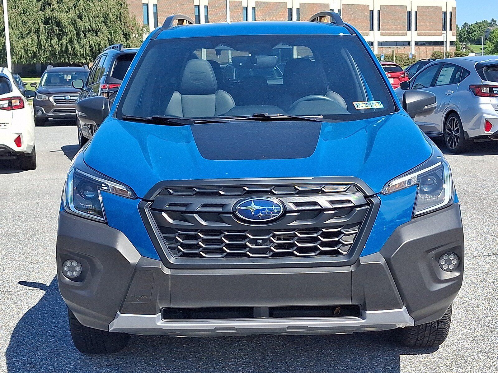 Used 2022 Subaru Forester Wilderness AWD/4WD image 2
