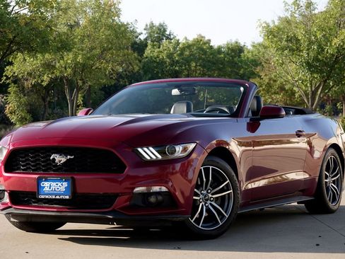 Used 2017 Ford Mustang Premium image 2