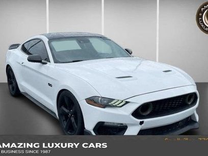 Used 2023 Ford Mustang GT Premium w/ Mustang Nite Pony Package